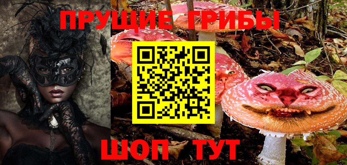 Галлюциногенные грибы Magic Shrooms Мурино